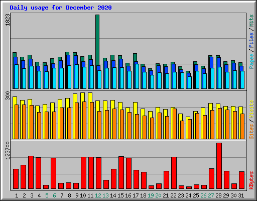 Daily usage for December 2020