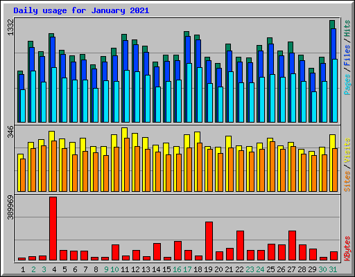 Daily usage for January 2021