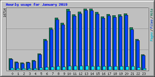 Hourly usage for January 2019
