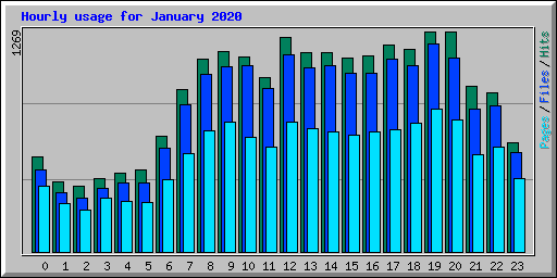 Hourly usage for January 2020