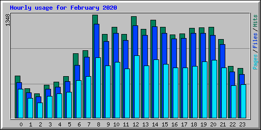 Hourly usage for February 2020