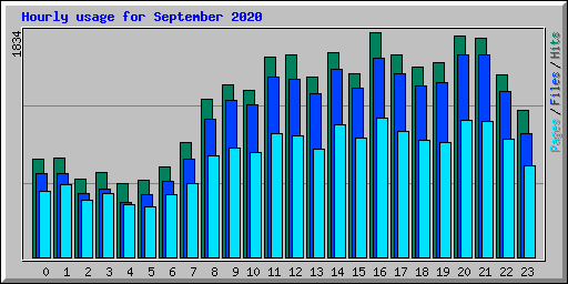 Hourly usage for September 2020