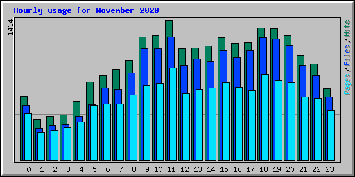 Hourly usage for November 2020