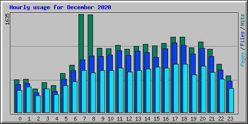 Hourly usage for December 2020