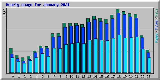 Hourly usage for January 2021