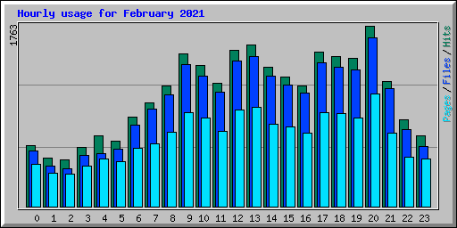 Hourly usage for February 2021