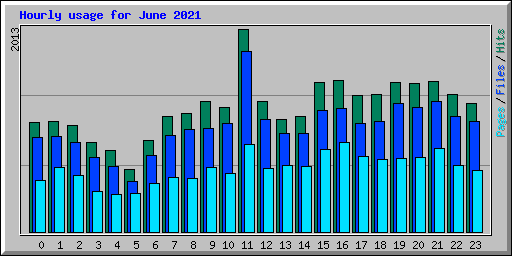 Hourly usage for June 2021