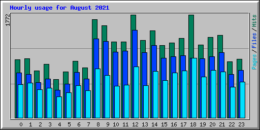 Hourly usage for August 2021